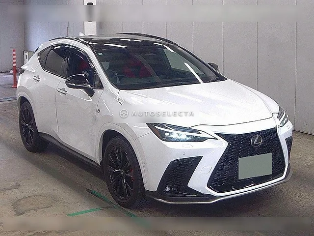 Lexus NX 2024, auction grade 5