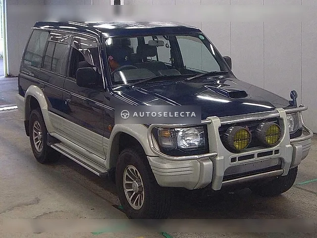Mitsubishi Pajero 1995, auction grade 3