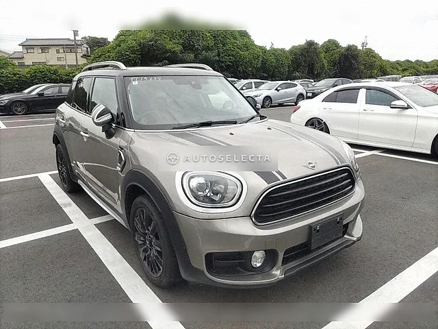 MINI 2020