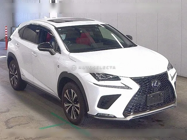 Lexus NX 2019, auction grade 3