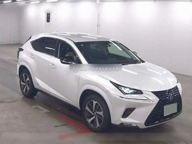 Lexus NX 2019, auction grade 4
