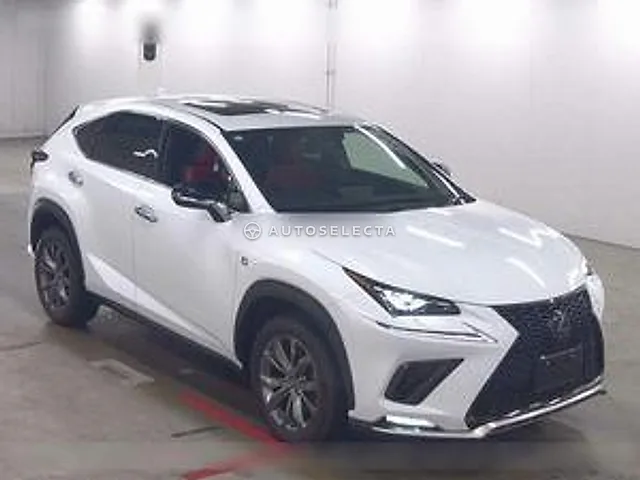 Lexus NX 2019, auction grade 4.5
