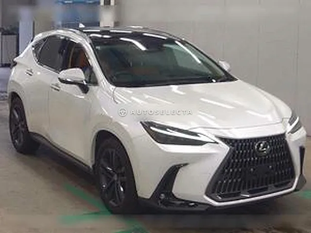Lexus NX 2023, auction grade 4
