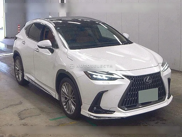 Lexus NX 2023, auction grade 5