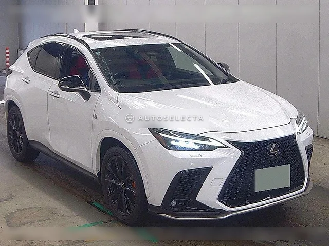 Lexus NX 2024, auction grade 4.5