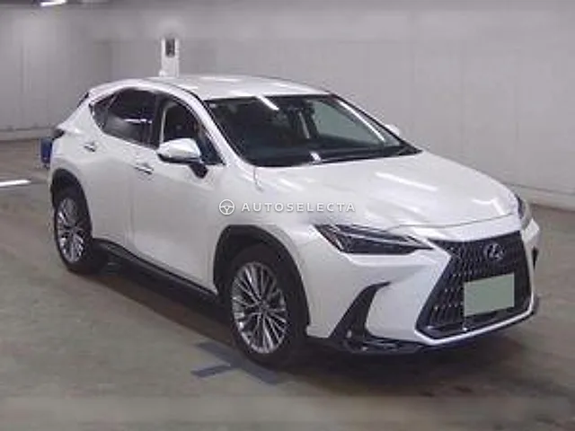 Lexus NX 2021, auction grade 4.5