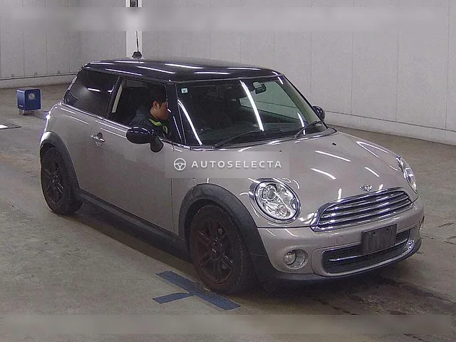MINI 2013