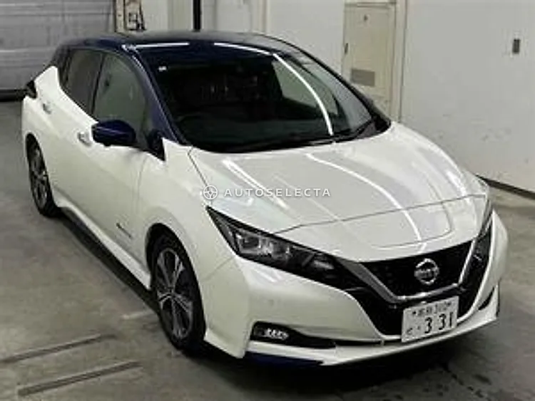 Nissan Leaf 2020, photo 1 of 1
