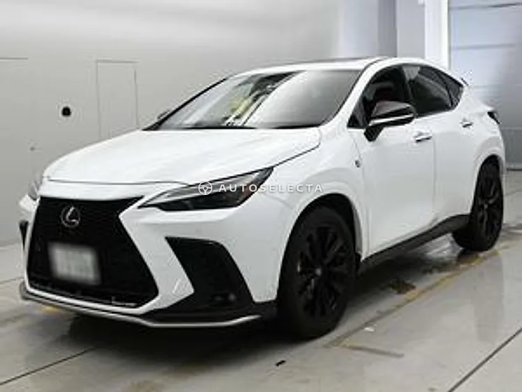 Lexus NX 2022, photo 1 of 1