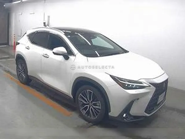 Lexus NX 2022, auction grade 4.5
