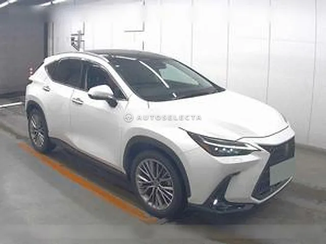 Lexus NX 2022, auction grade 4.5