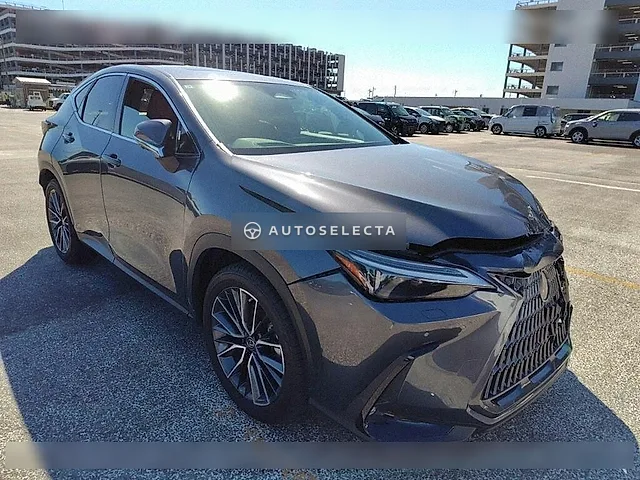 Lexus NX 2023