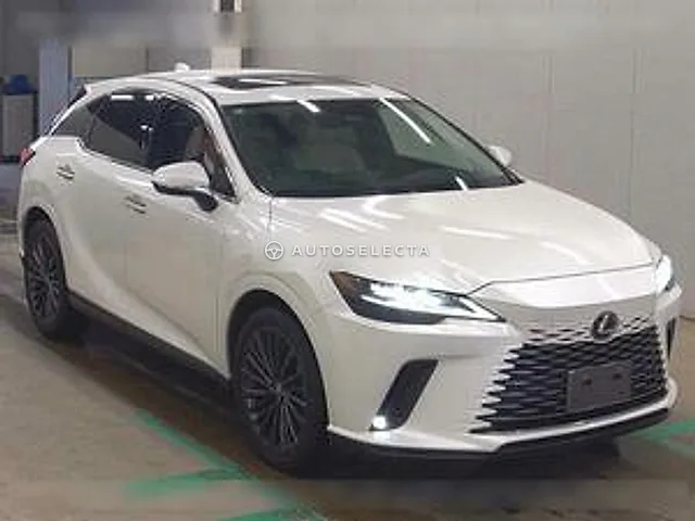 Lexus RX 2023, auction grade 4.5