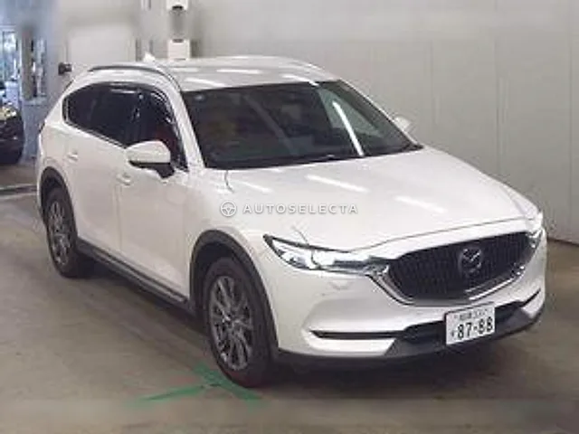 Mazda CX-8 2022, auction grade 4.5