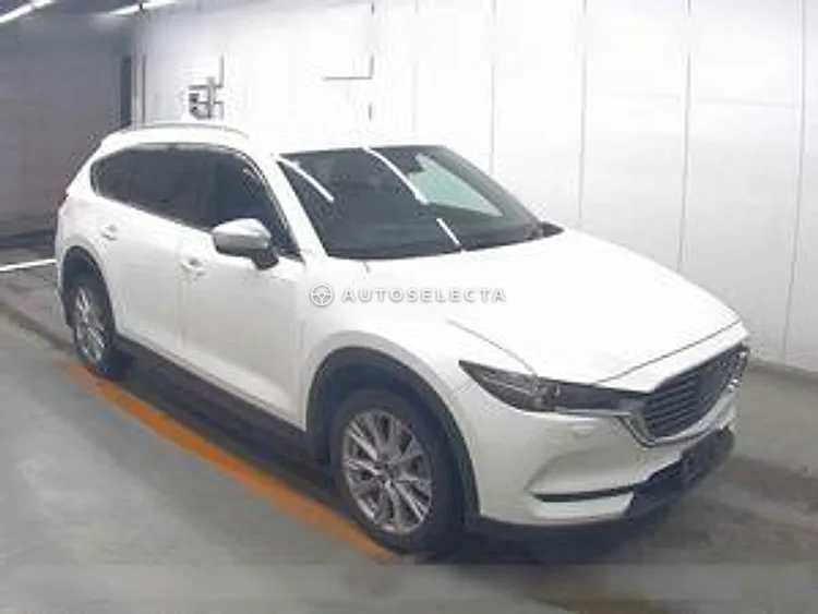 Mazda CX-8 2018, photo 1 of 1