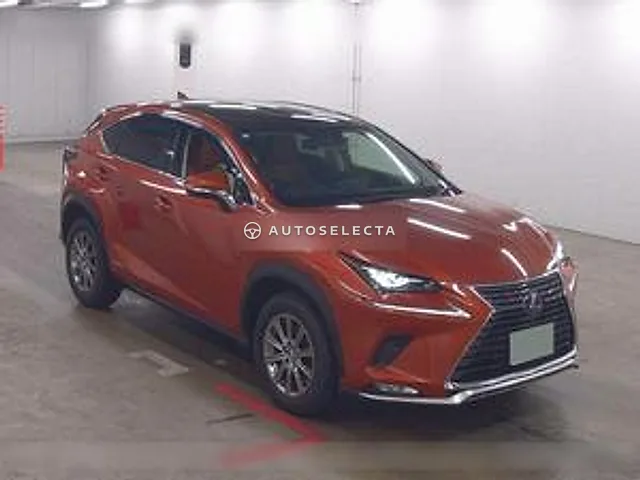 Lexus NX 2019, auction grade 4.5