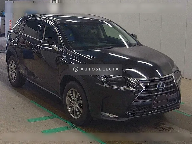 Lexus NX 2014, auction grade 4