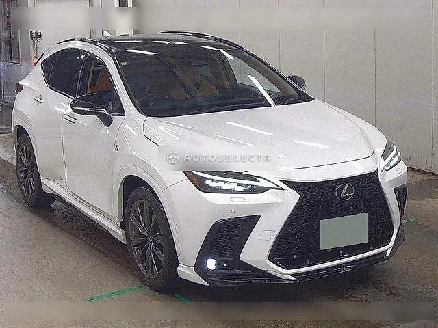 Lexus NX 2025, auction grade 5