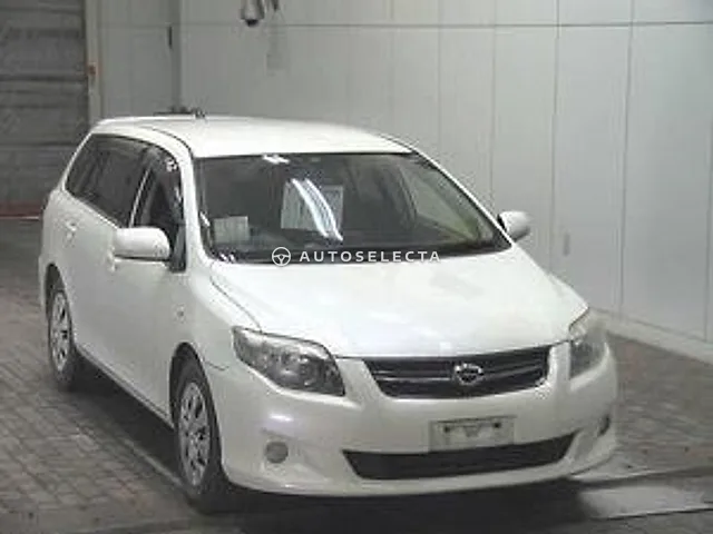 Toyota Corolla Fielder 2009, auction grade 3.5