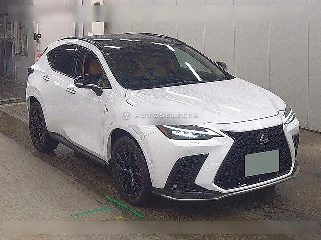 Lexus NX 2024, auction grade 4.5