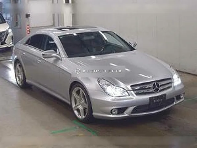 Mercedes-Benz CLS-Class 2009, auction grade 4.5