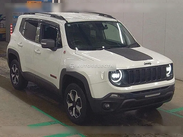 Jeep Renegade 2019, auction grade 4.5