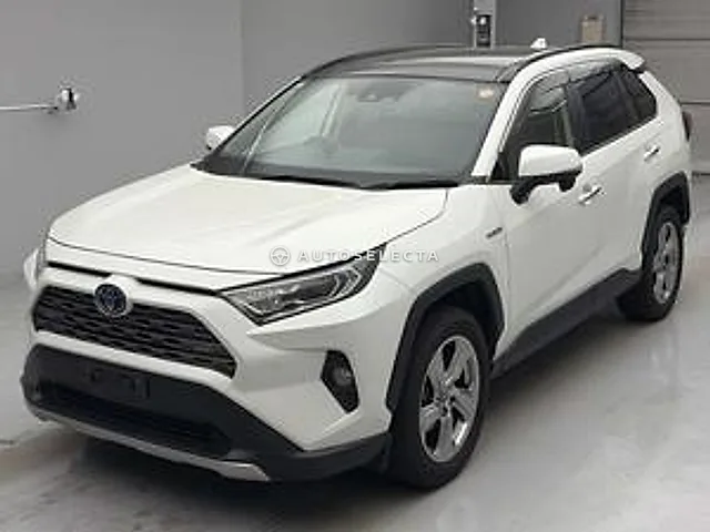 Toyota RAV4 2019, auction grade R
