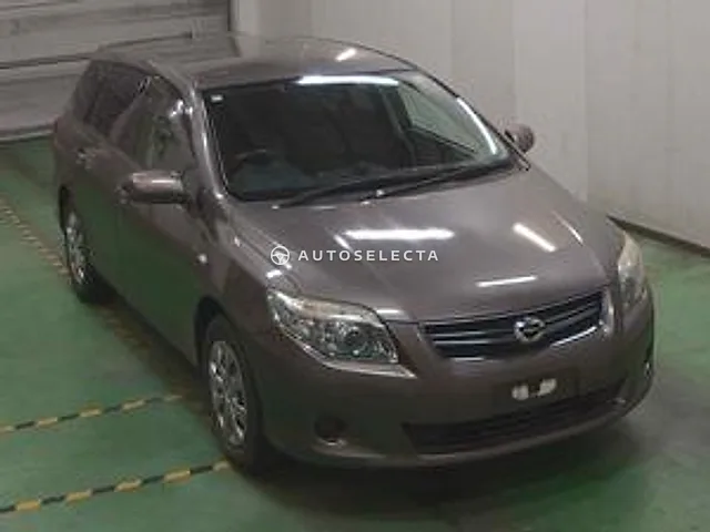 Toyota Corolla Fielder 2010, auction grade 3.5