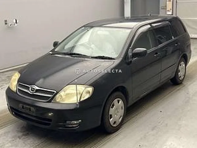 Toyota Corolla Fielder 2004, auction grade 3