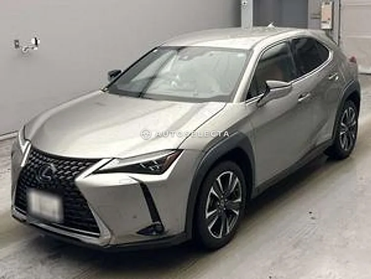 Lexus UX 2020, photo 1 of 1