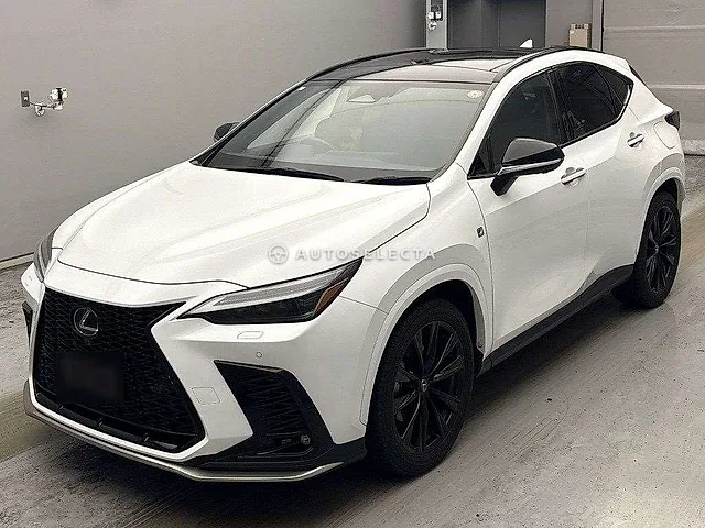 Lexus NX 2023, auction grade 4.5