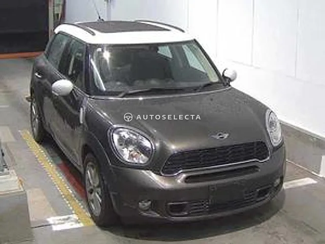 MINI 2011