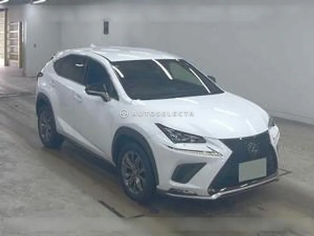 Lexus NX 2019, auction grade 4.5