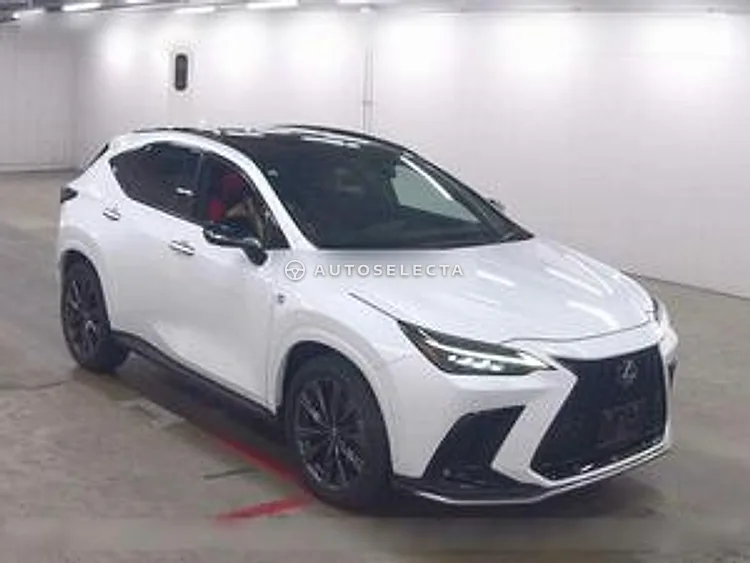 Lexus NX 2021, photo 1 of 1
