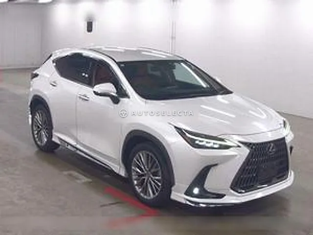 Lexus NX 2022, auction grade 4