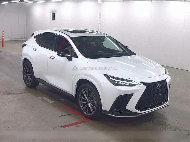 Lexus NX 2023, auction grade R