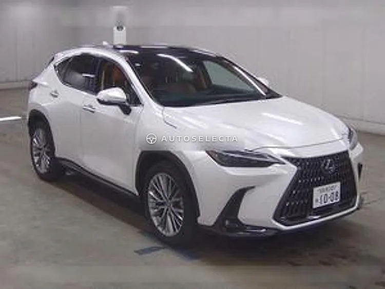 Lexus NX 2023, photo 1 of 1