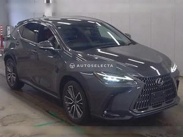 Lexus NX 2024, auction grade 3.5