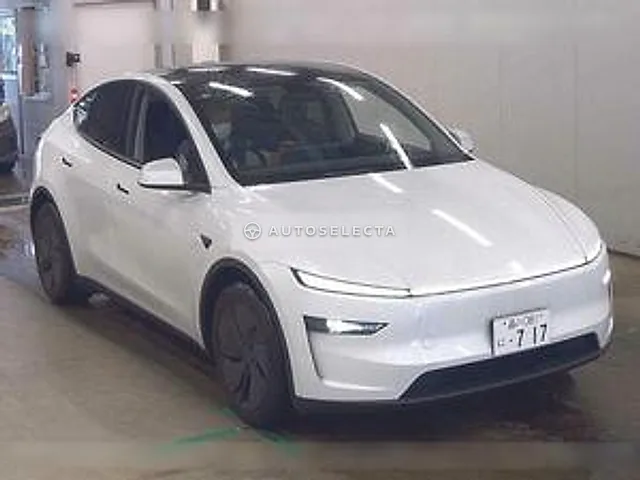 Tesla Model Y 2025, auction grade 4.5