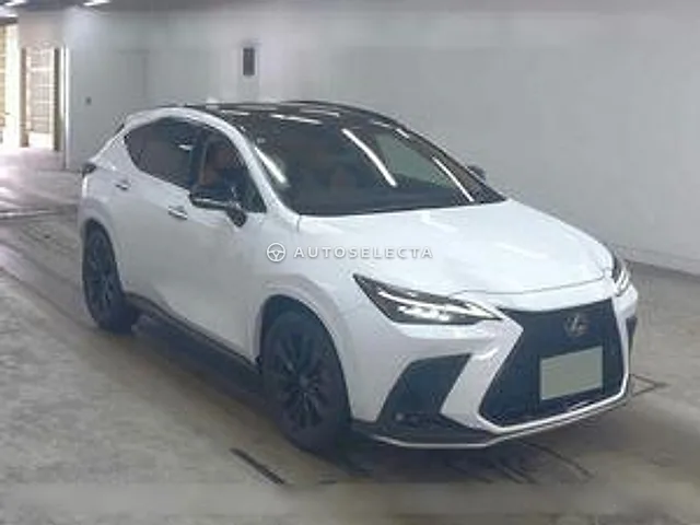 Lexus NX 2025, auction grade 5