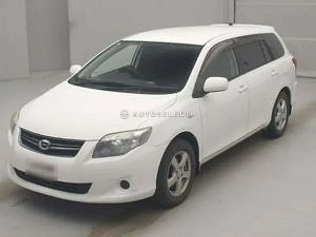 Toyota Corolla Fielder 2009, auction grade 3