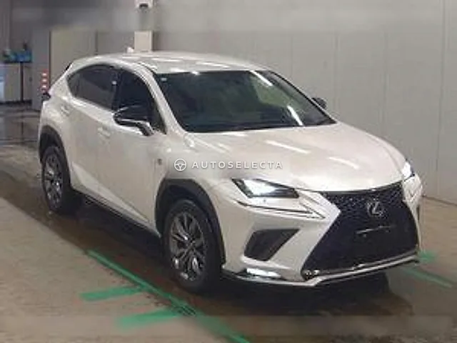 Lexus NX 2020, auction grade 4.5