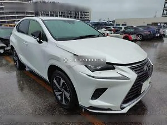 Lexus NX 2020