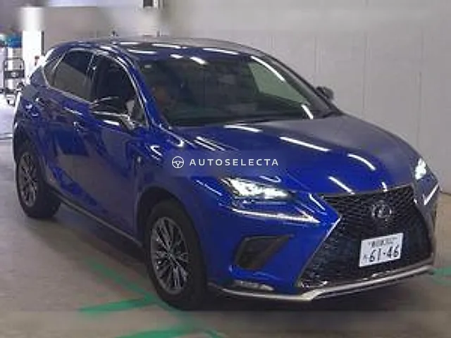 Lexus NX 2020, auction grade 4