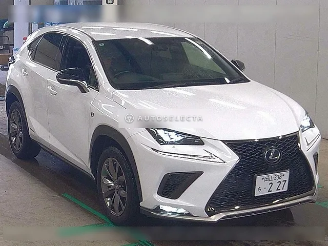 Lexus NX 2020, auction grade 4.5