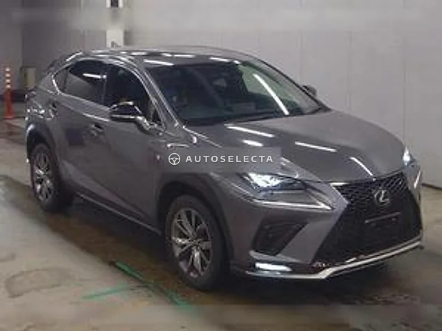 Lexus NX 2019, auction grade 4.5