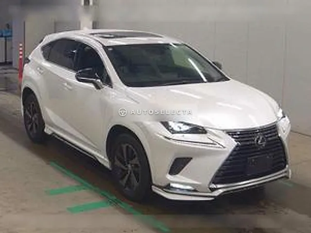 Lexus NX 2020, auction grade 4.5