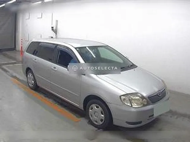 Toyota Corolla Fielder 2002, auction grade 3