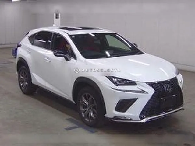 Lexus NX 2019, auction grade 4