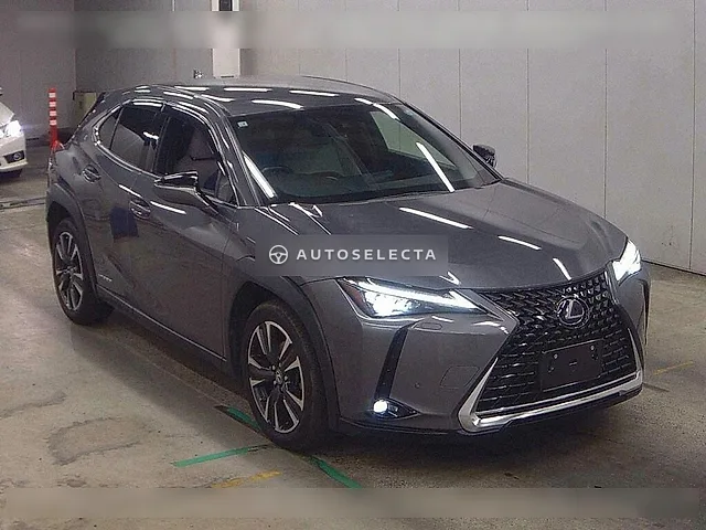 Lexus UX 2019, auction grade R